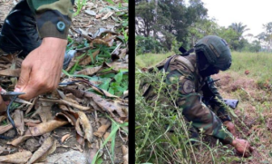Fanb halló trampas de explosivos y un nido de ametralladoras en Apure y Amazonas