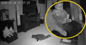 Mamá captura el momento en que un fantasma abandona una muñeca para perseguir al gato (VIDEO)