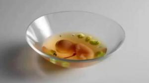 Polémica en un lujoso restaurante español al servir un plato con un “embrión” humano de tres meses (FOTO)