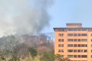 Reportaron incendio en zona boscosa de Parque Caiza este #12abr (Imágenes)