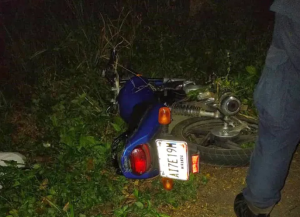 Motorizado resultó lesionado tras chocar con un árbol que se desplomó en Táchira