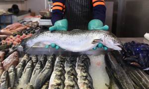 Sundde fija precios del pescado para Semana Santa (Lista)