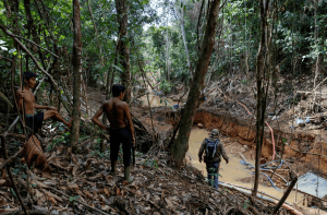 Yanomamis enojados tras la violación de una niña a manos de mineros en Roraima