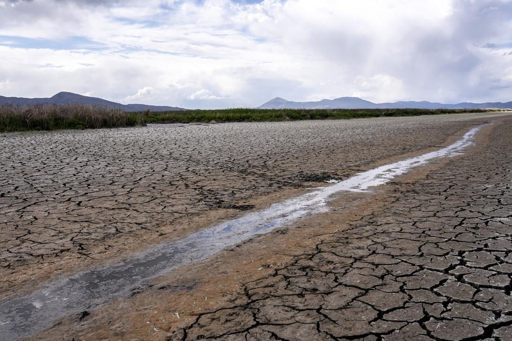 Alertan que la mitad del territorio de la UE está “en riesgo” de sufrir una devastadora sequía