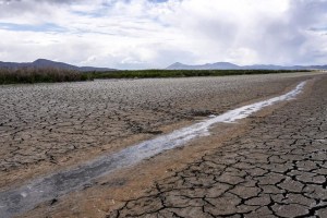 Alertan que la mitad del territorio de la UE está “en riesgo” de sufrir una devastadora sequía