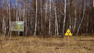 “Una muerte lenta”: rusos que robaron sustancias radiactivas de Chernóbil podrían vivir solo un año