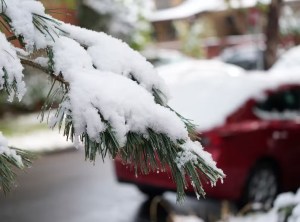 Insólita nevada primaveral en Colorado dejó a medio estado sin luz