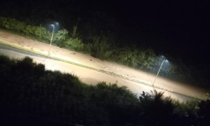En alerta los habitantes de Mérida tras intensas lluvias de las últimas horas (VIDEOS)