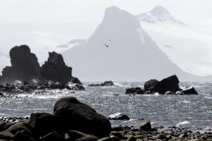 La UE urge a crear en la Antártida “el área marina protegida más grande del mundo”