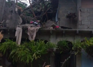 Varias familias afectadas tras colapso de un árbol en Trujillo (FOTOS)