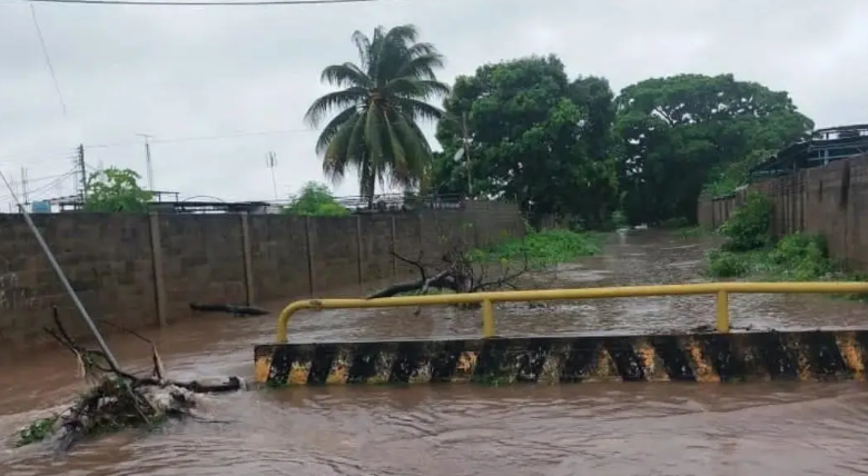 Varios sectores en Calabozo anegados por fuertes precipitaciones de las últimas horas (FOTOS)