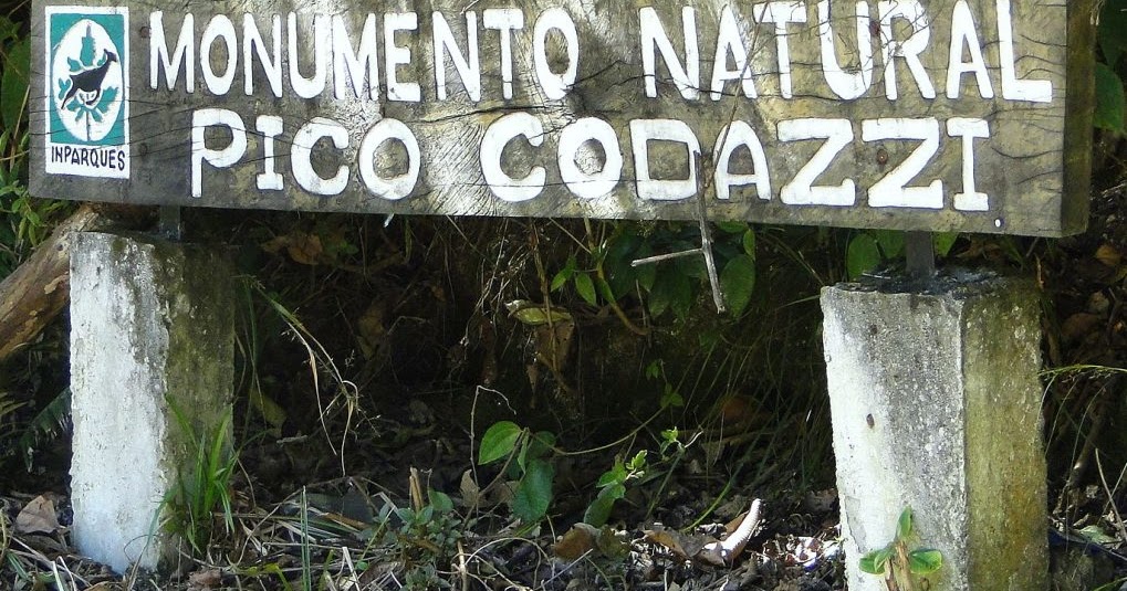 FundaRedes alertó de una grave emergencia ambiental que afecta a los parques nacionales de Venezuela