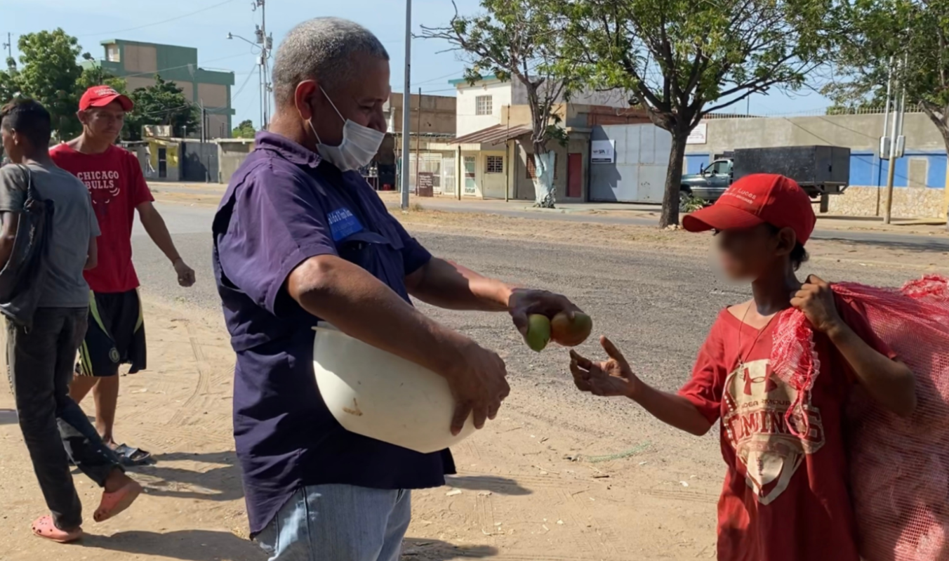 “El mango calma el hambre”: llegó la temporada de la fruta salvavidas en Venezuela (Videos)
