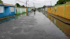 Habitantes de Caujarito en Apure temen nadar entre aguas negras con la llegada de las lluvias