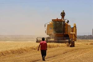 Ucrania afirma que la crisis de cereales es provocada por la invasión rusa y no por las sanciones