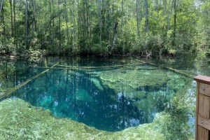 Nadadores adolescentes encuentran a dos buzos muertos en un lago de Florida