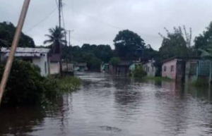 Inundaciones y cortes del servicio eléctrico son resultado de las lluvias en Amazonas (Fotos y video)
