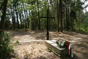 Hallaron más de 15 toneladas de cenizas en un campo de exterminio nazi en Polonia (FOTOS)