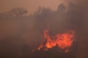 Incendios forestales cobraron la vida de una segunda víctima en España