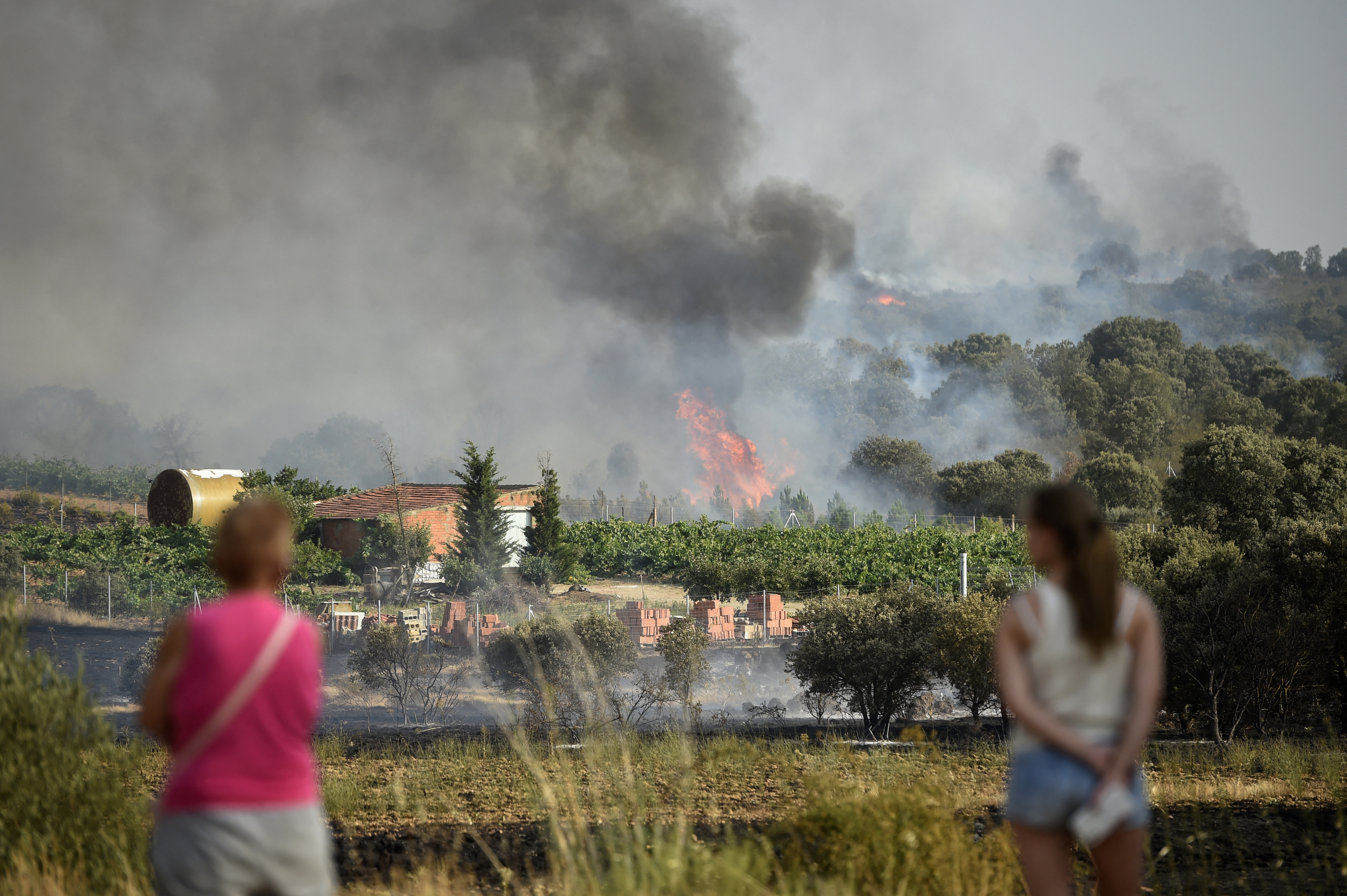 OMS informó que la ola de calor causó “mil 700 muertes innecesarias” en España y Portugal