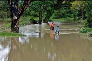 Inclementes lluvias tienen bajo el agua las vías agrícolas en Barinas