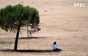 Ola de calor castiga a Europa con temperaturas extremas