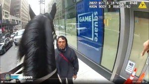 Como película de vaqueros: A caballo atraparon a un ladrón en Time Square (VIDEO)