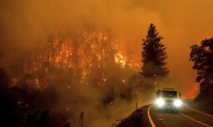 California y Montana bajo llamas: Cientos evacúan ante la expansión de incendios forestales