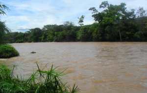 Alerta en Zulia: más 150 mil hectáreas están bajo el agua y los productores no saben que hacer
