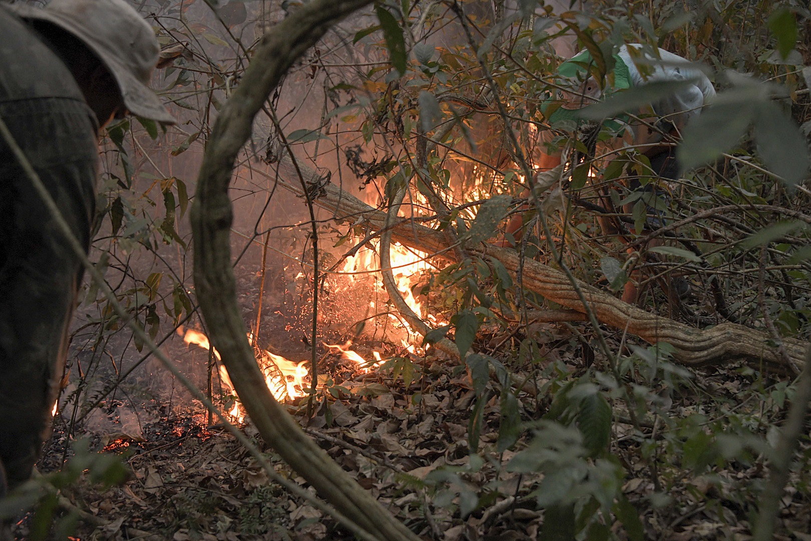 Los incendios en la Amazonía brasileña suben en el primer semestre del año y encienden las alarmas