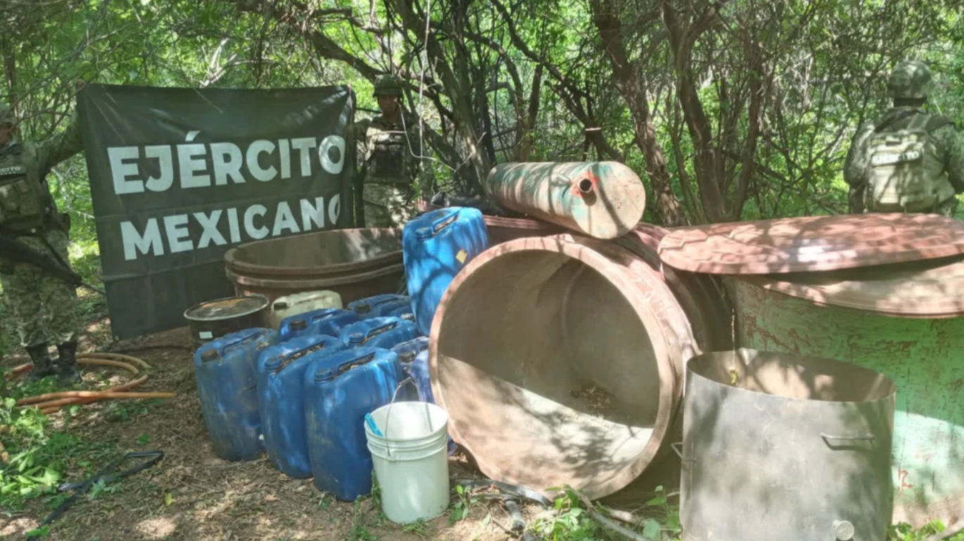 Golpe al narcotráfico en México: Secretaría de la Defensa Nacional desmanteló más de 200 laboratorios clandestinos