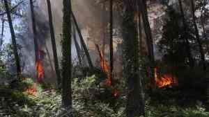 Evacuaron a miles de personas del sudoeste de Francia por los incontrolables incendios forestales