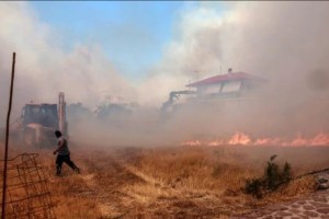 Bomberos griegos luchan por salvar un parque natural de las llamas: un lugar con un “ecosistema excepcional”