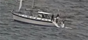 Una orca atacó un barco en Portugal dejando a cinco personas a la deriva