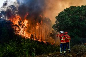 El calor deja más de 300 muertos en el sur de Europa y amenaza con llegar al norte