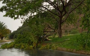 EN IMÁGENES: Vientos huracanados y fuertes lluvias causan caos en el norte de Anzoátegui