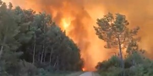 Evacuadas más de 6.500 personas en un departamento de Francia por dos grandes incendios (Video)