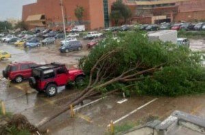 Fuertes vientos y lluvias provocaron destrozos en varios estados del país