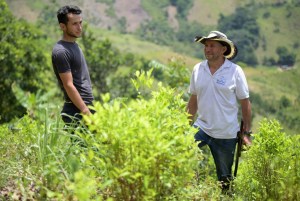 Informe policial reveló quiénes controlan los cultivos ilícitos y narcotráfico en Colombia
