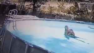 El dramático momento en el que un niño rescató a su madre mientras sufría una convulsión en una piscina (Video)