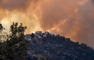 Incendios forestales de Argelia han cobrado la vida de al menos 37 personas