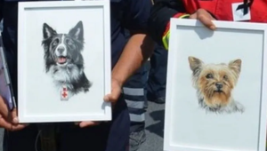 Condenaron a 10 años de prisión al responsable de las muertes de dos perros rescatistas