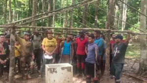 “Nos están quemando todo”: Esbirros del régimen atropellan a mineros en Bolívar (Video)