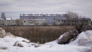 “Me golpearon y violaron con palos hasta desmayarme”: Ex presos revelan torturas en las cárceles rusas