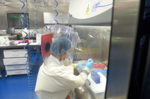Científicos descubrieron un nuevo virus animal en el laboratorio de Wuhan