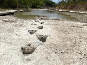 El agua de río en Texas bajó por la sequía y descubrieron un camino de dinosaurios (FOTOS)