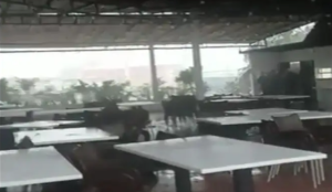 VIDEO: Techo de reconocido restaurante en Maturín colapsó debido a fuertes lluvias