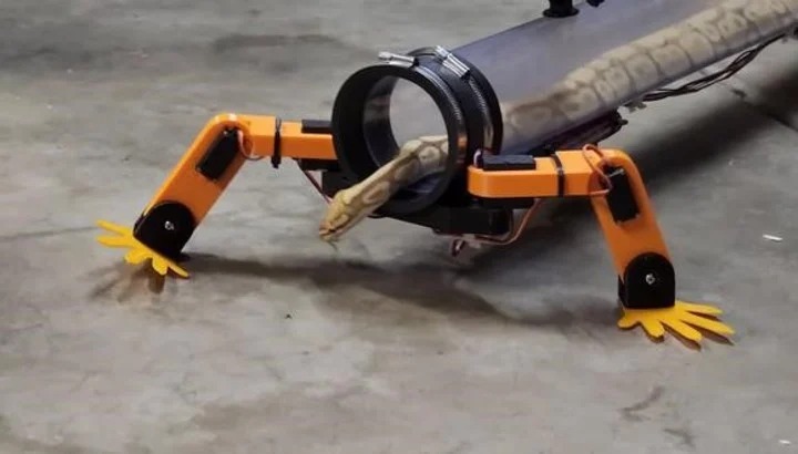 Construyó piernas robóticas para una serpiente y es una locura en las redes (VIDEO)