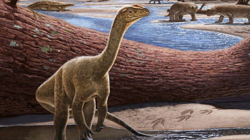 Descubren en Zimbabue el dinosaurio más antiguo de África