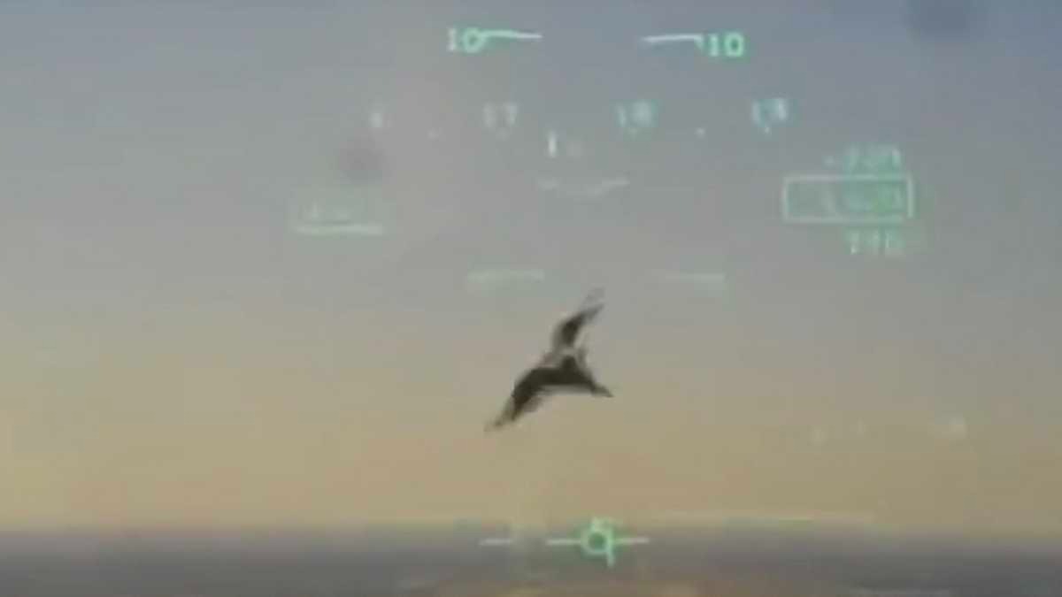 EN VIDEO: El momento exacto cuando un pájaro derribó a un avión militar en Texas